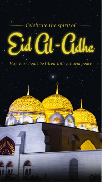 Eid Al Adha Night YouTube Short Design