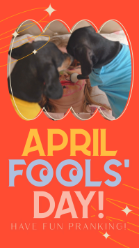 Quirky April Fools' Day Instagram reel Image Preview