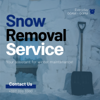 Snow Removal Assistant Linkedin Post Image Preview