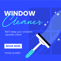 Squeaky Clean Windows Instagram Post Image Preview