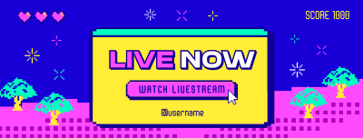 Pixel Livestreamer Facebook cover Image Preview