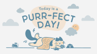 International Cat Day Animation Image Preview