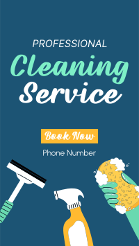 Professional Cleaner Instagram story Image Preview