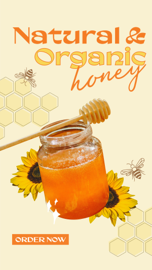 Delicious Organic Pure Honey Facebook story Image Preview