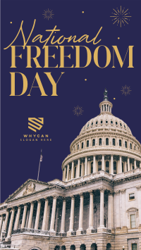 Freedom Day Fireworks Instagram story Image Preview