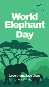 Safari Elephant Instagram Story Design