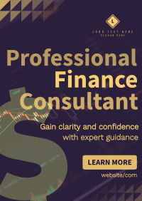 Professional Finance Consultant Flyer Image Preview