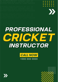 Let's Play Cricket Flyer Design