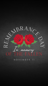 Day of Remembrance TikTok video Image Preview