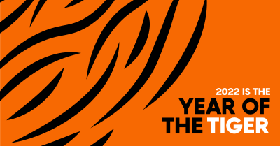 Tiger Stripes Facebook ad Image Preview