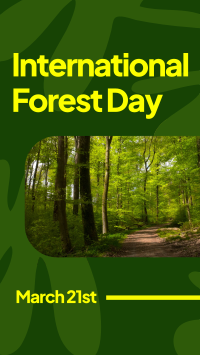 Forest Day Greeting Video Image Preview
