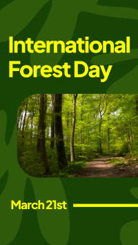 Forest Day Greeting TikTok video Image Preview