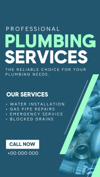 Expert Plumber Service YouTube Short Preview