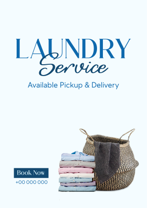Laundry Delivery Services Flyer Image Preview