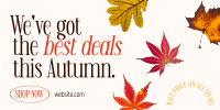 Autumn Leaves Twitter Post Design