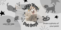 Share your Pet's Photo Twitter post Image Preview