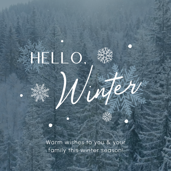 Minimalist Winter Greeting Instagram Post Design Image Preview