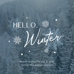 Minimalist Winter Greeting Instagram post Image Preview