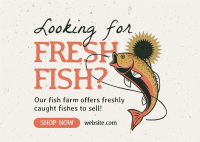 Fresh Fish Farm Postcard Image Preview