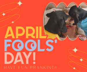 Quirky April Fools' Day Facebook post Image Preview