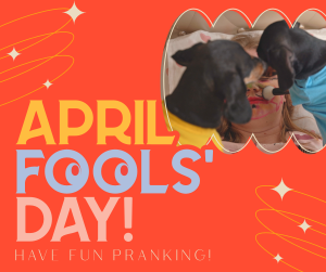 Quirky April Fools' Day Facebook Post Image Preview