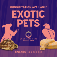 Exotic Vet Consultation Instagram Post Design