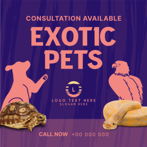 Exotic Vet Consultation Instagram post Image Preview