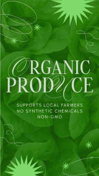 Minimalist Organic Produce TikTok video Image Preview