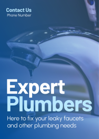 Expert Plumbers Flyer Image Preview