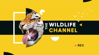 Wild Tiger YouTube cover (channel art) Image Preview