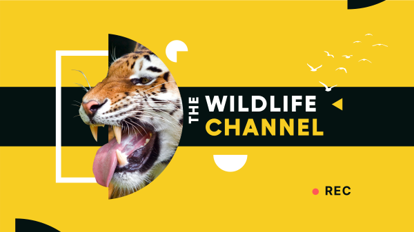 Wild Tiger YouTube Banner Design Image Preview