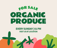 Organic Vegetables Facebook Post Design