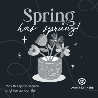 Spring Flower Pot Instagram Post Design