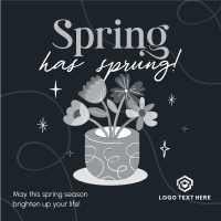 Spring Flower Pot Instagram Post Image Preview