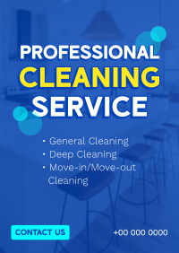 Professional Janitorial Services Poster Image Preview