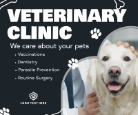 Professional Veterinarian Clinic Facebook post Image Preview