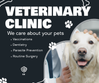 Professional Veterinarian Clinic Facebook Post Image Preview