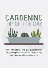 Tip of the Day Flyer Image Preview