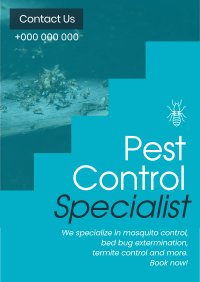 Minimal & Simple Pest Control Flyer Image Preview