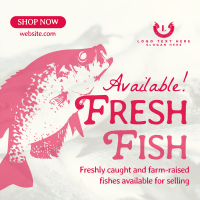 Fresh Fishes Available Linkedin Post Image Preview