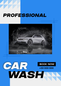 Professional Car Wash Services Poster Design
