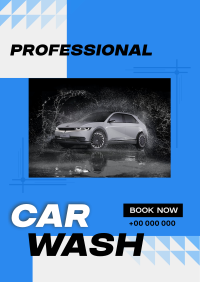 Professional Car Wash Services Poster Image Preview