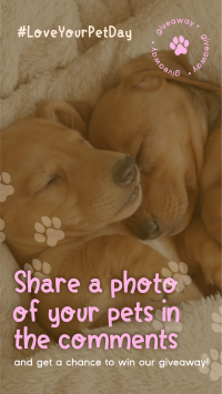 Love Your Pet Day Giveaway Facebook Story Design