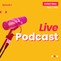 Live Podcast Instagram post Image Preview