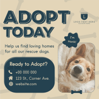 Adopt A Pup Instagram post Image Preview
