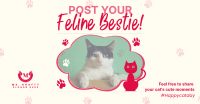 Cat Appreciation Post  Facebook Ad Image Preview