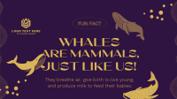 Whale Fun Fact Animation Preview