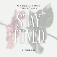 Minimalist New Product Stay Tuned  Instagram Post Preview