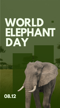 World Elephant Celebration Instagram Story Design