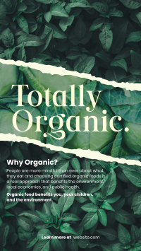 Totally Organic Instagram Story Design
